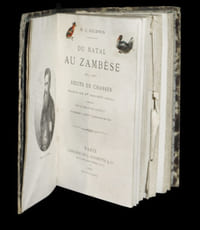 Du Natal au Zambèse  [Zambèze].