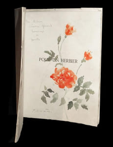 Pour un herbier illustré de lithographies originales de Jean Commère.
