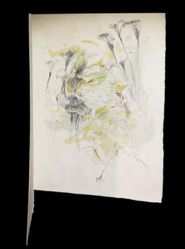 Pour un herbier illustré de lithographies originales de Jean Commère.. COLETTE - COMMERE (Jean, ill. de).