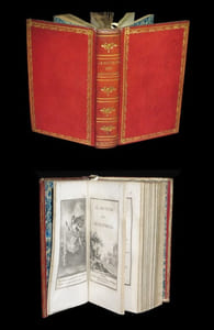 Le Souvenir des Ménestrels contenant une collection de romances inédites.