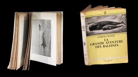 La Grande aventure des baleines. . BLOND (Georges).