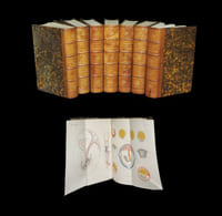 Annales médico-psychologiques - Journal destiné à recueillir tous les documents relatifs à L'Aliénation mentale, aux névroses et à la médecine légale des aliénés.