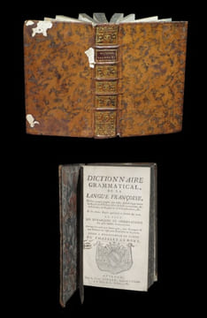 Dictionnaire grammatical de la langue françoise [française] où l'on trouve rangées par ordre alphabétique,  toutes les règles de l'orthographe, de la ...