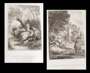 Oeuvres complètes de La Fontaine [comprenant :] Fables - Contes - Théâtre - Oeuvres diverses avec un Travail de critique et d'érudition, des aperçus d'histoire littéraire,  la vie de l'auteur, des notes et commentaires, une bibliographie, etc.