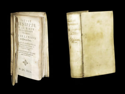 Satyre Ménippée, de la vertu du catholicon d'Espagne, et de La Tenue des Estatz [Etats] de Paris à laquelle est adjousté [sic] un Discours sur l'interprétation du mot de Higuiero d'Infierno & qui en est l'autheur [sic] plus Le Regret sur la mort de l'âne Ligueur d'une Damoiselle qui mourut durant le siège de Paris.