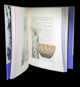 Etude de la plante - Son application aux industries d'art (Pochoir - Papier peint - Etoffes - Céramique - Marqueterie - Tapis - Ferronnerie - Reliure - Dentelles - Broderies - Vitrail - Mosaïque - Bijouterie - Bronze - Orfèvrerie).