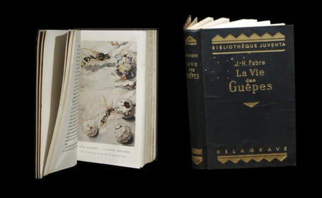La Vie des guêpes.. FABRE (Jean-Henri).