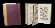 Anthropogénie  ou  Histoire de l'évolution humaine  - Leçons sur les principes de l'embryologie et de la phylogénie humaines.. HAECKEL (Ernst).