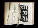 Anthropogénie  ou  Histoire de l'évolution humaine  - Leçons sur les principes de l'embryologie et de la phylogénie humaines.. HAECKEL (Ernst).