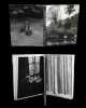 Paradis terrestre [comprenant en outre :] La Maison proche de la forêt - Le Désert de Retz - Amertume.. COLETTE (textes de)  -  BIDERMANAS (Izis).