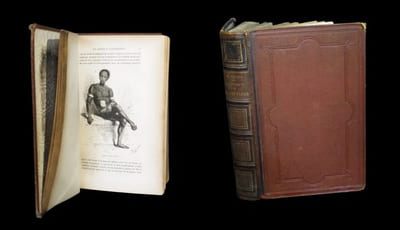 Découverte de l'Albert N'Yanza  -  Nouvelles explorations des sources du Nil.