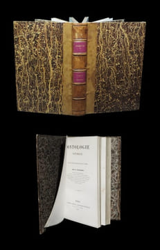 Ontologie naturelle ou Etude philosophique des êtres.. FLOURENS (Pierre).