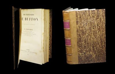 Des manuscrits de Buffon.