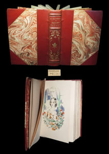 Madame Bovary.