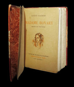 Madame Bovary.