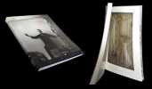 Bacon - Picasso - La Vie des images.. BALDASSARI (Anne) - [BACON 5francis) & PICASSO (Pablo)].