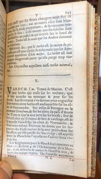 Essais d'un Dictionnaire Universel, Contenant généralement tous les mots François tant vieux que modernes, & les termes de toutes les Sciences &des ...