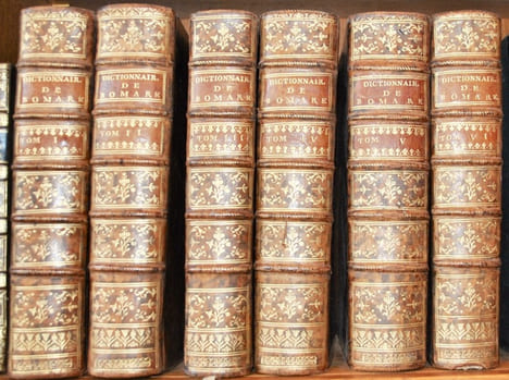 Dictionnaire raisonné universel d'histoire naturelle ; Contenant l'histoire des Animaux, des Végétaux et des Minéraux, et celle des Corps célestes, ...
