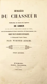 Musée du Chasseur, ou Collection de toutes les espèces de gibier de poil ou de plume qu'on chasse au fusil avec la description de leurs caractères, leurs mœurs etc. Dirigé par un chasseur naturaliste et lithographié par Victor Adam.