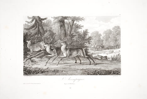 [Chasse à courre. Chasse au cerf].. VERNET (Carle).