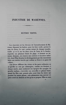 Voyage d'exploration sur le littoral de la France et de l'Italie. Rapport à M. le ministre de l'agriculture, du commerce et des travaux publics, sur ...