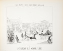 Au Pays des gorilles par Esteban de Richermoz. Dessins par Ch. Clérice [Pierre Duhem]. Musique par A. Josset.. La Planète des singes en 1883 [Récamier ...