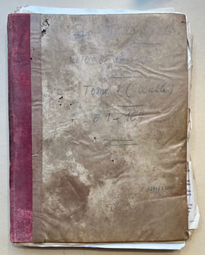 [Archives]. La Grande Guerre. 1914-1919. Notes journalières. . DISLÈRE (Paul).
