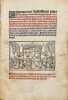 [Coutume. Dauphiné, 1508]. Libertates per illustrissimos principes delphinos viennenses delphinalibus subditis concesse, statutaque et decreta ab ...
