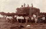 [Photographies. Environs de Paris]. BELLEVALLÉE (Edmond). Album. . 