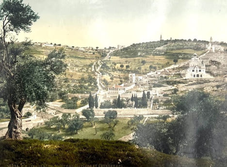 [JÉRUSALEM]. Photographies et Fleurs de Terre Sainte.. undefined