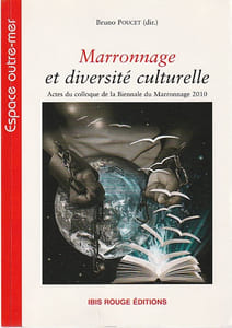 Marronnage et diversité culturelle: Actes du colloque de la Biennale du Marronnage 2010, 