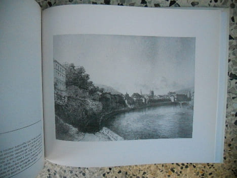 Charles Pensee , temoin d'Epinal . Dominique Blum-Passetemps et Jacques Grasser 