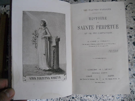 Les martyrs d'Afrique - Histoire de Sainte Perpetue et de ses compagnons. Abbe A. Pillet