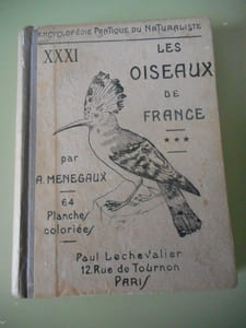 Encyclopedie Pratique du Naturaliste XXXI - Les oiseaux de France - Tome 3 - Passereaux tome 1