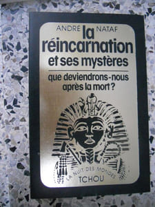 La reincarnation et ses mysteres - Que deviendrons-nous après la mort ?