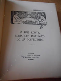 A pas lents, sous les platanes de la prefecture