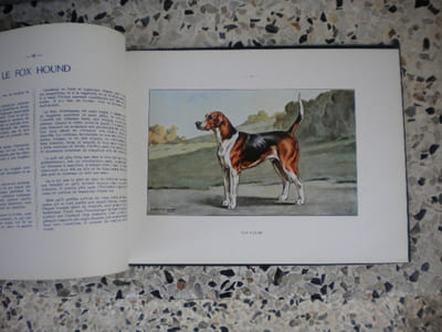 Les chiens de chasse