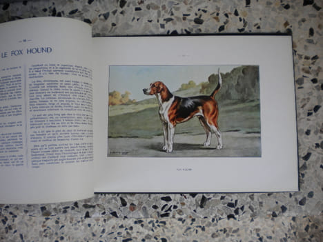 Les chiens de chasse . R. de Kermadec - Docteur Herout - Henri Teissonniere - Francois Castellan