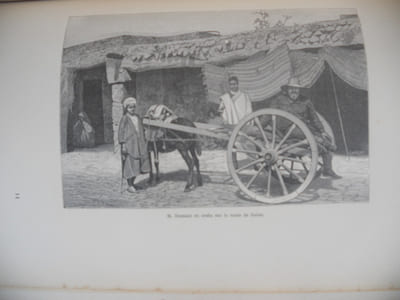 De Carthage au Sahara