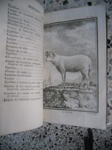 Histoire naturelle, generale et particuliere, avec la description du cabinet du Roi - Tome Neuvieme (Brebis, belier, bouc, cochon, sanglier ... )