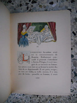 Themidore - ou - Mon histoire et celle de ma maitresse - Illustrations de Stick. Godard d'Aucourt / Stick