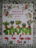Almanach provencal 2010. Tinou Dumond