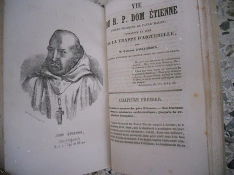 Vie du Pere Marie-Ephrem (Vincent-Mathieu Ferrer) - ou - Histoire d'un moine de nos jours, mort a l'abbaye de la Trappe d'Aiguebelle - Precedee de ...