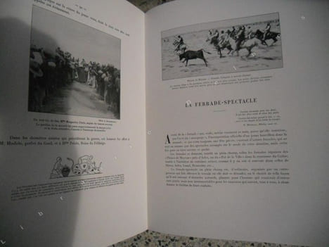 Le Taureau Camargue - Son elevage - La course provencale. J. de Flandreysy et G. Bouzanquet