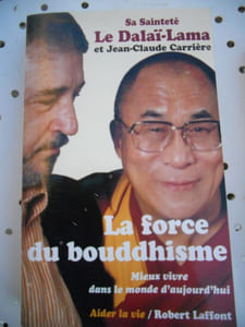 La force du bouddhisme - Mieux vivre dans le monde d'aujourd'hui 