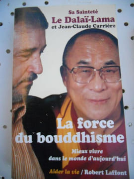 La force du bouddhisme - Mieux vivre dans le monde d'aujourd'hui . CARRIERE Jean-Claude - Sa saintete le Dalai-Lama