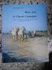 Mon ami, le cheval Camargue - Origines, caracteres, dressage, travail, soins, equitation camarguaise . Rene Baranger