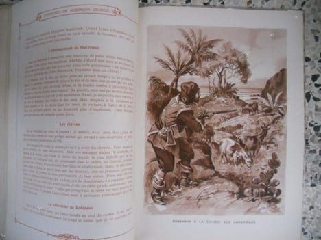 Aventures de Robinson Crusoe . Daniel Defoe
