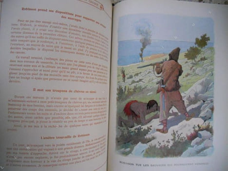 Aventures de Robinson Crusoe . Daniel Defoe