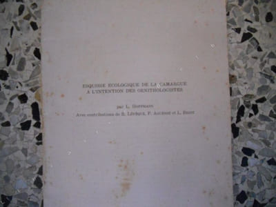 Esquisse ecologique de la Camargue a l'intention des ornithologistes